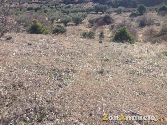 SE VENDE FINCA CON MANANTIAL DE AGUA